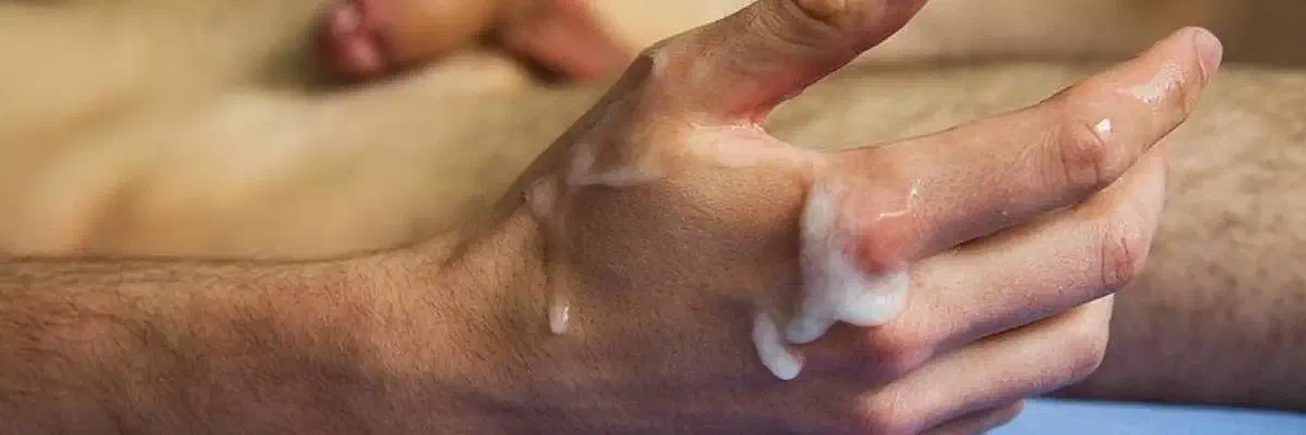 隨緣更新，勿催莫念