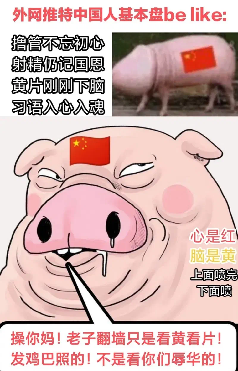 扎實的基本盤