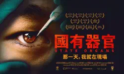 Featured image of post 轉貼：何謂“粉紅基”？